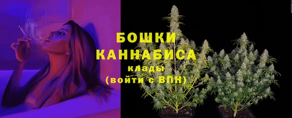 экстази Гусь-Хрустальный