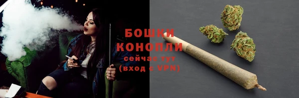 экстази Гусь-Хрустальный