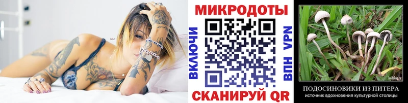 Псилоцибиновые грибы ЛСД  Купить где  Кадников 